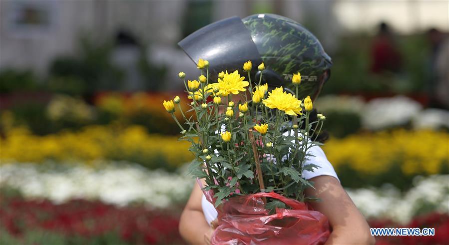 NEPAL-LALITPUR-CHRYSANTHEMUM FLOWER EXPO