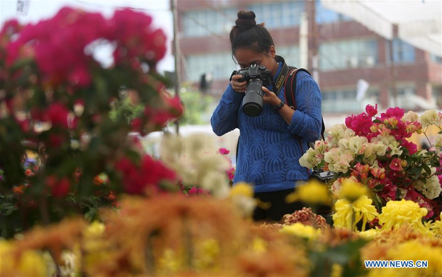 NEPAL-LALITPUR-CHRYSANTHEMUM FLOWER EXPO