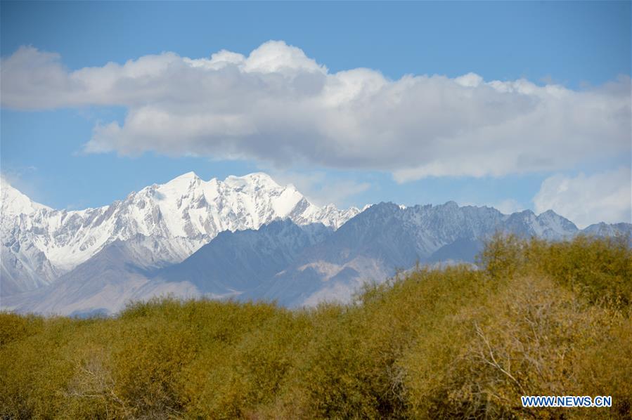 CHINA-XINJIANG-AUTUMN SCENERY (CN)