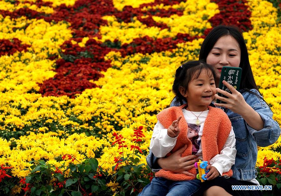 CHINA-HENAN-KAIFENG-CHRYSANTHEMUM (CN)