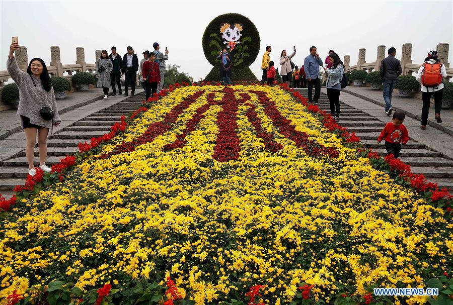 CHINA-HENAN-KAIFENG-CHRYSANTHEMUM (CN)