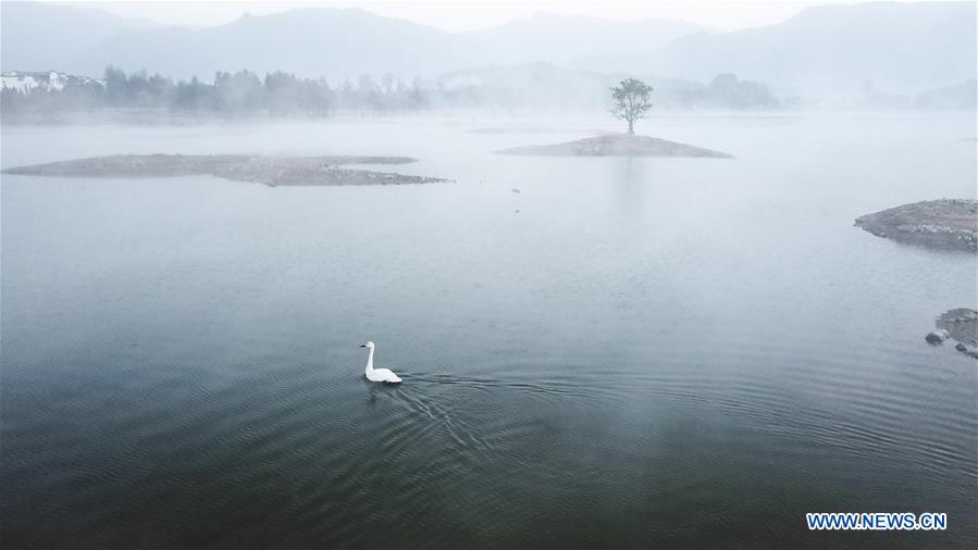 CHINA-ANHUI-HUANGSHAN-SCENERY (CN)