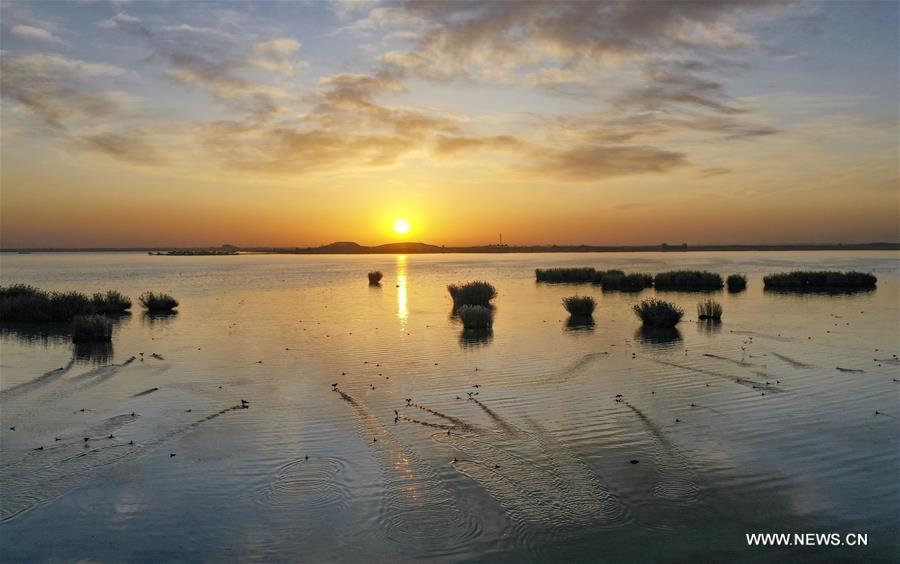 CHINA-NINGXIA-SHAHU LAKE-SCENERY (CN)