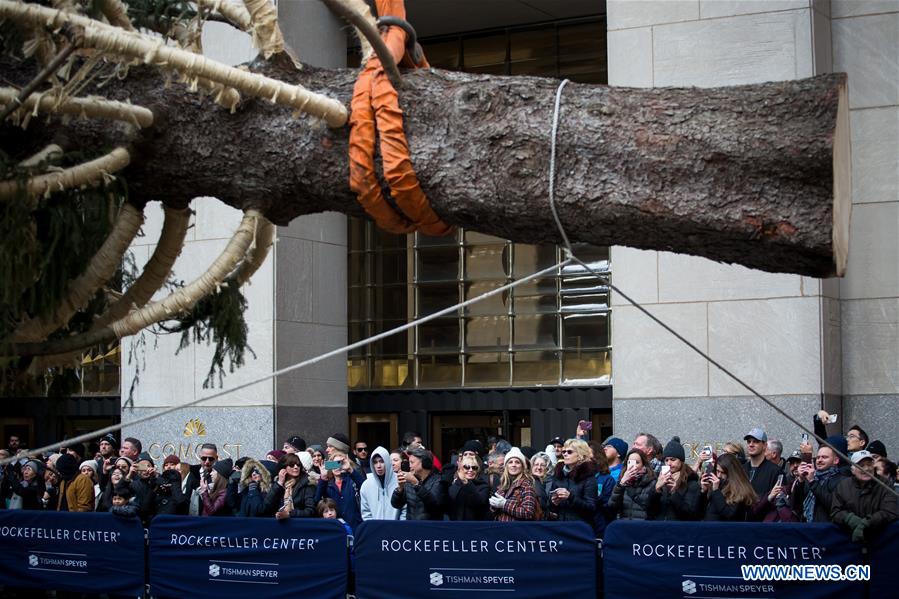 U.S.-NEW YORK-ROCKEFELLER CENTER-CHRISTMAS TREE-ARRIVAL