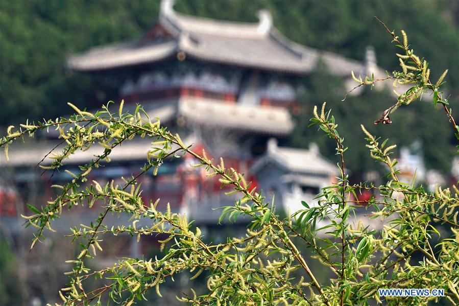 CHINA-HENAN-LONGMEN GROTTOES (CN)