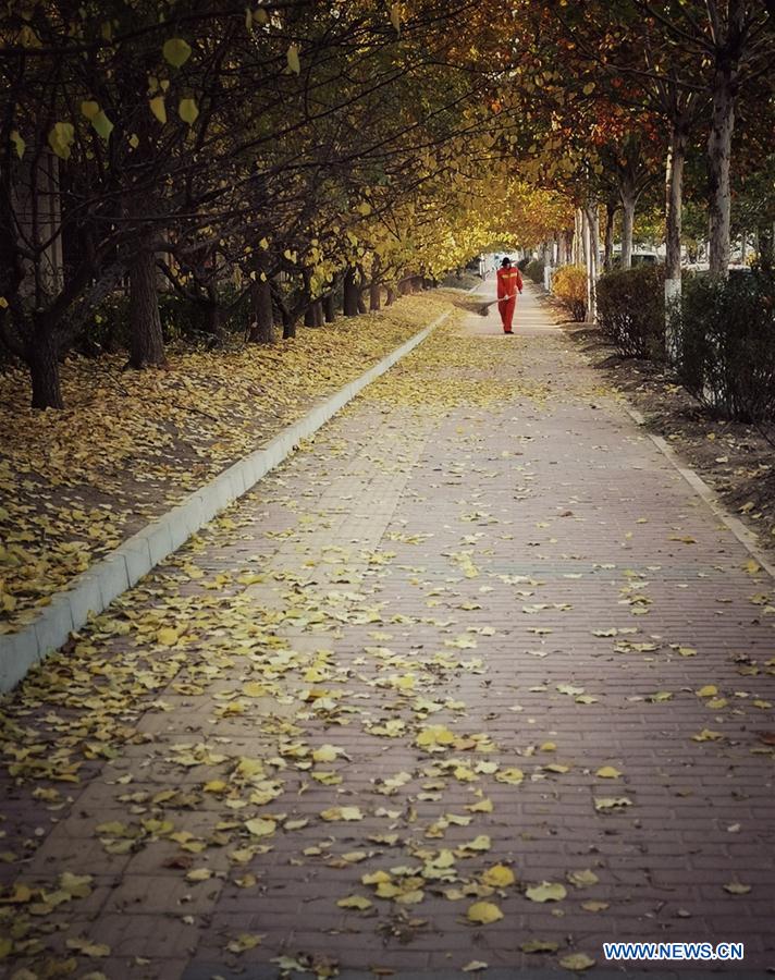 (BeijingCandid)CHINA-BEIJING-AUTUMN (CN)