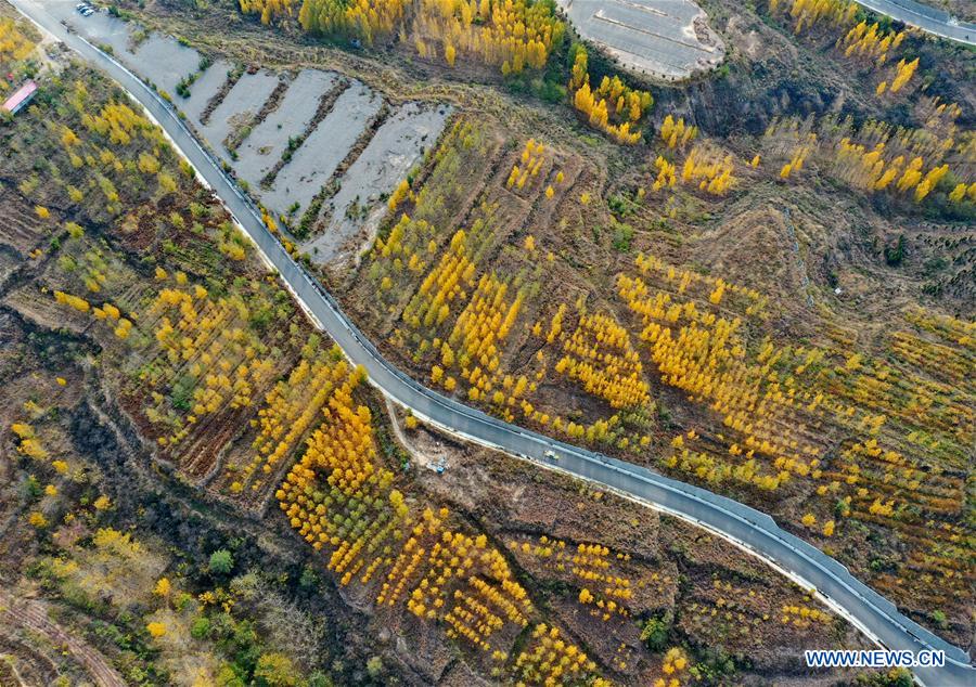 CHINA-HEBEI-HANDAN-SCENERY(CN)