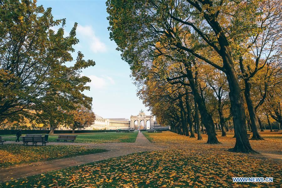 BELGIUM-BRUSSELS-AUTUMN SCENERY