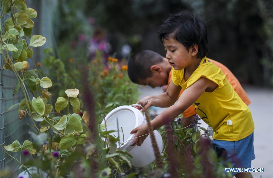 CHINA-XINJIANG-RURAL ENVIRONMENT-IMPROVEMENT (CN)