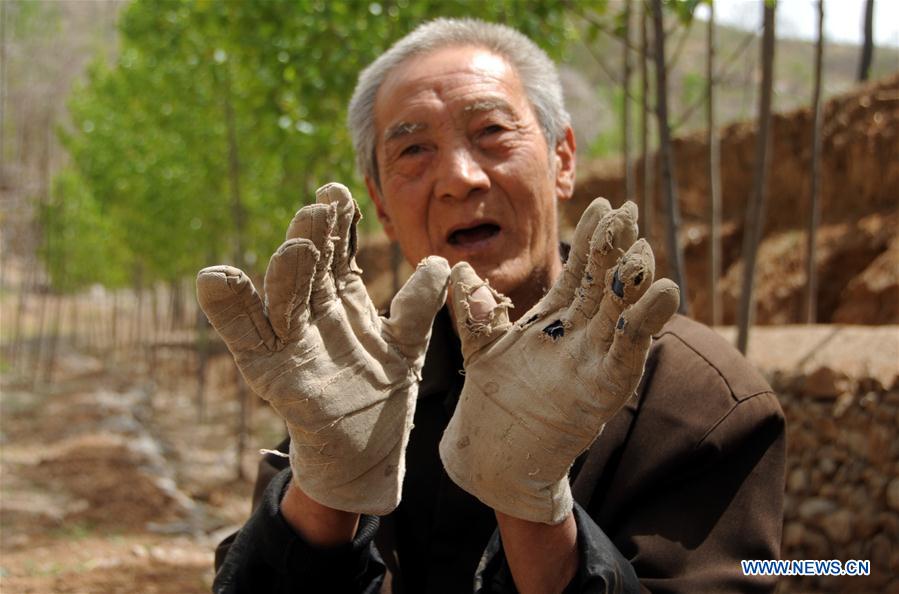 CHINA-HEBEI-SHIJIAZHUANG-VETERAN-TREES (CN)