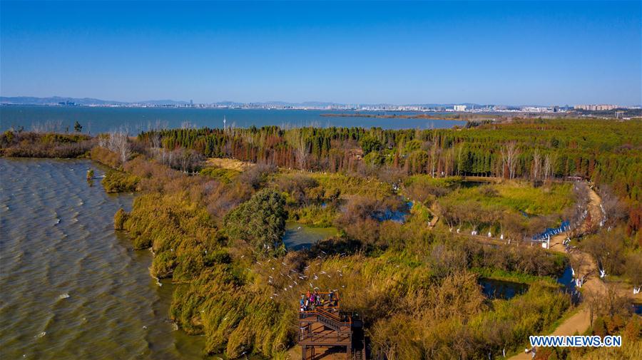 CHINA-YUNNAN-KUNMING-LAOYUHE WETLAND PARK-WINTER VIEW(CN)