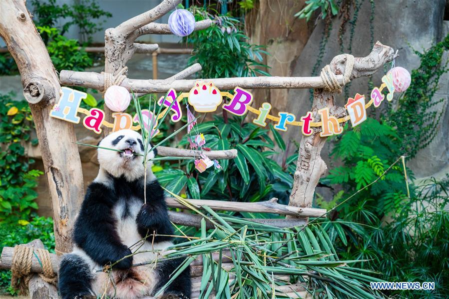 MALAYSIA-KUALA LUMPUR-GIANT PANDA-BIRTHDAY