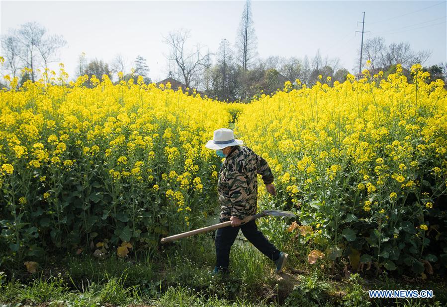 CHINA-HUBEI-WUHAN-SPRING SCENERY (CN)