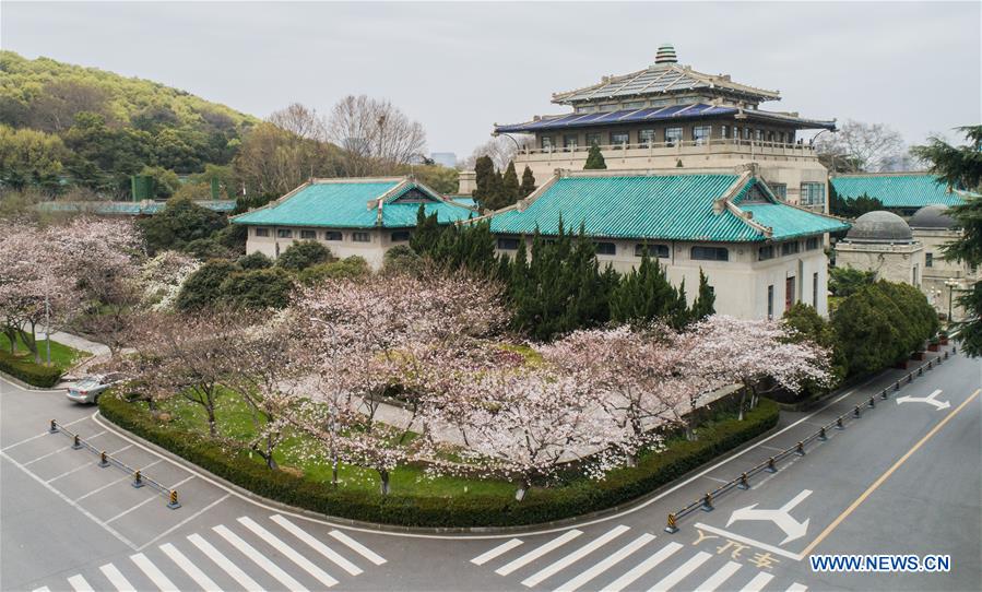 CHINA-HUBEI-WUHAN UNIVERSITY-CHERRY BLOSSOMS (CN)