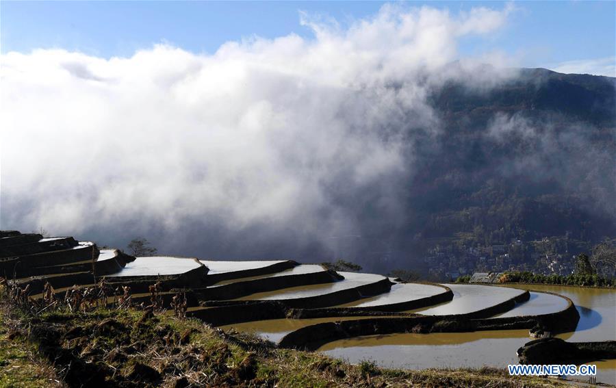 CHINA-YUNNAN-HANI TERRACED FIELDS-VIEWS (CN)