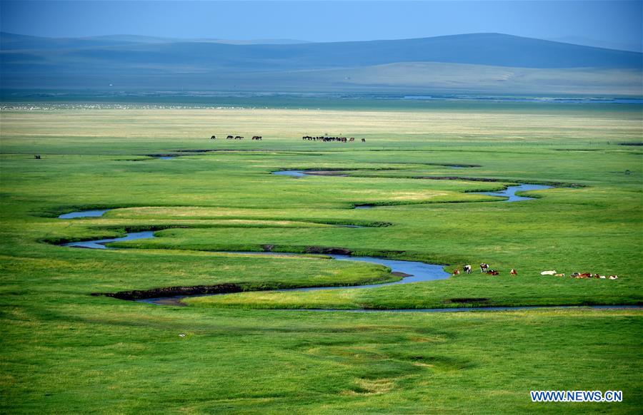 CHINA-INNER MONGOLIA-PASTURE SCENERY (CN)