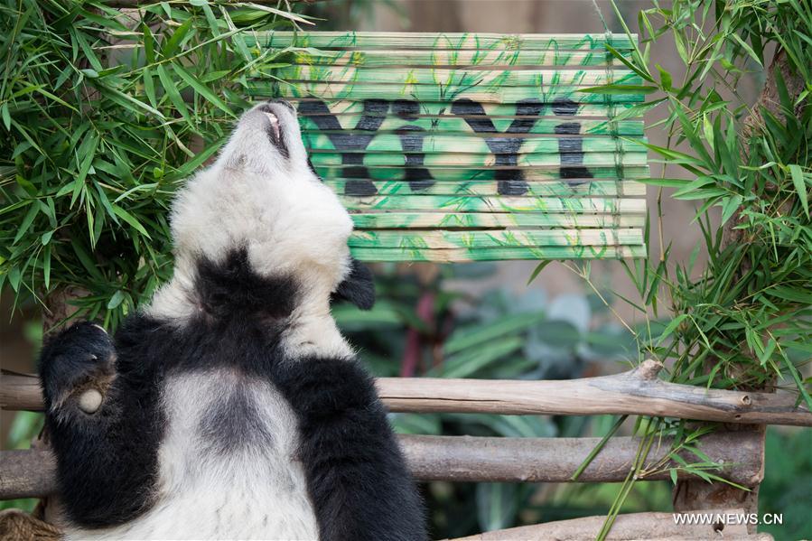 MALAYSIA-KUALA LUMPUR-GIANT PANDA CUB-NAMING-YI YI