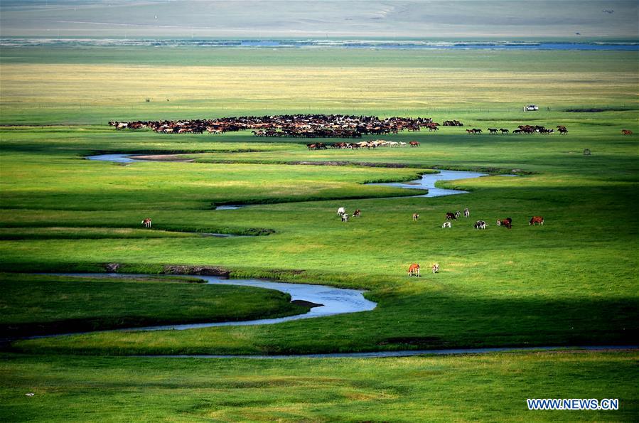 CHINA-INNER MONGOLIA-PASTURE SCENERY (CN)