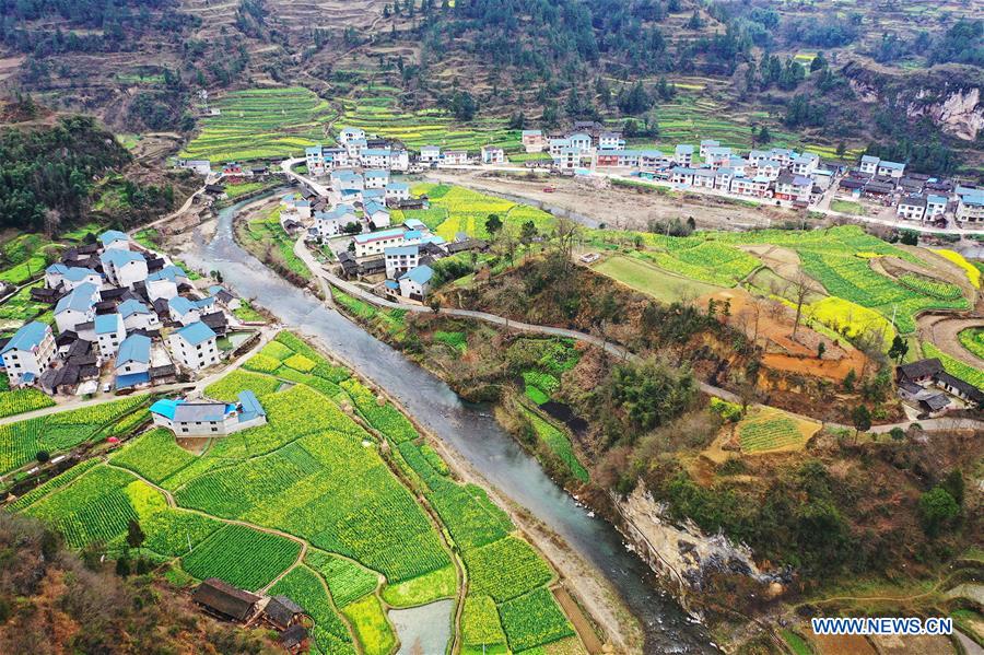 #CHINA-GUIZHOU-SPRING SCENERY (CN)