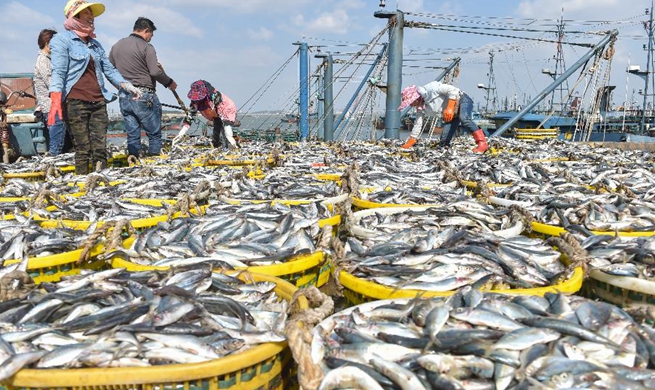 Fishermen work at Xiangzhi fishing port in Shishi, SE China's Fujian