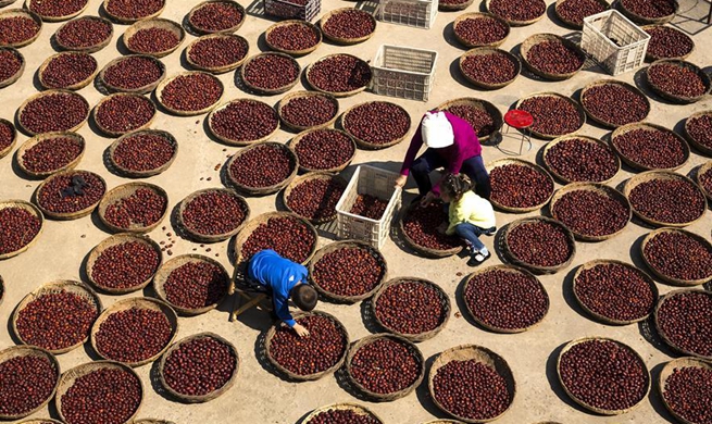 China embraces autumn harvest