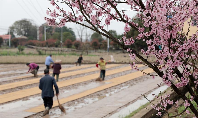 Farmers work in fields across China