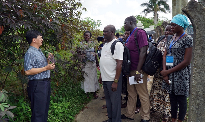 Xinhua Headlines: China, Africa join for broader agricultural cooperation