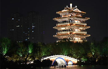 Night view at Daming Lake in Jinan, E China's Shandong