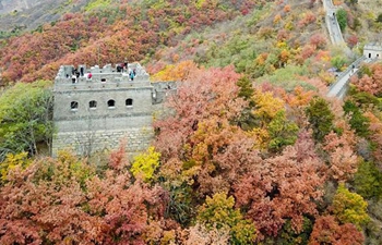 Autumn scenery of Mutianyu Great Wall in Beijing