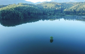 In pics: Hongcun scenic spot in Yixian County, China's Anhui