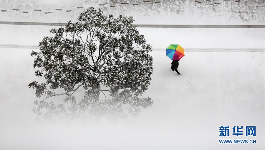 #（環(huán)境）（3）我國多地迎來強(qiáng)降雪