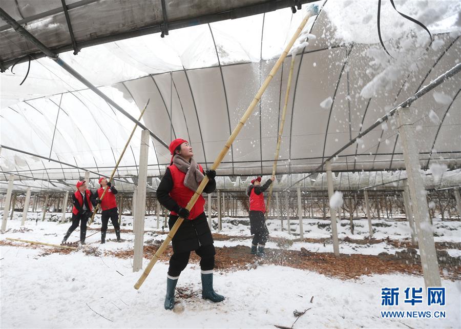 #（社會(huì)）（8）除冰掃雪保安全