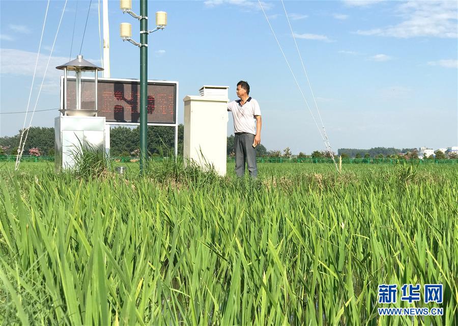 （新華全媒頭條·紀念改革開放40年特稿·圖文互動）（6）向著新航程揚帆奮進！——從小崗精神看中國改革開放40年