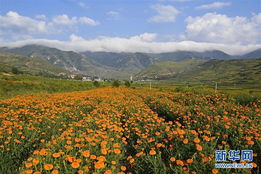 （新華全媒頭條·圖文互動(dòng)）（8）中國(guó)扶貧的西海固答卷——寧夏奮進(jìn)60年巡禮之脫貧攻堅(jiān)篇