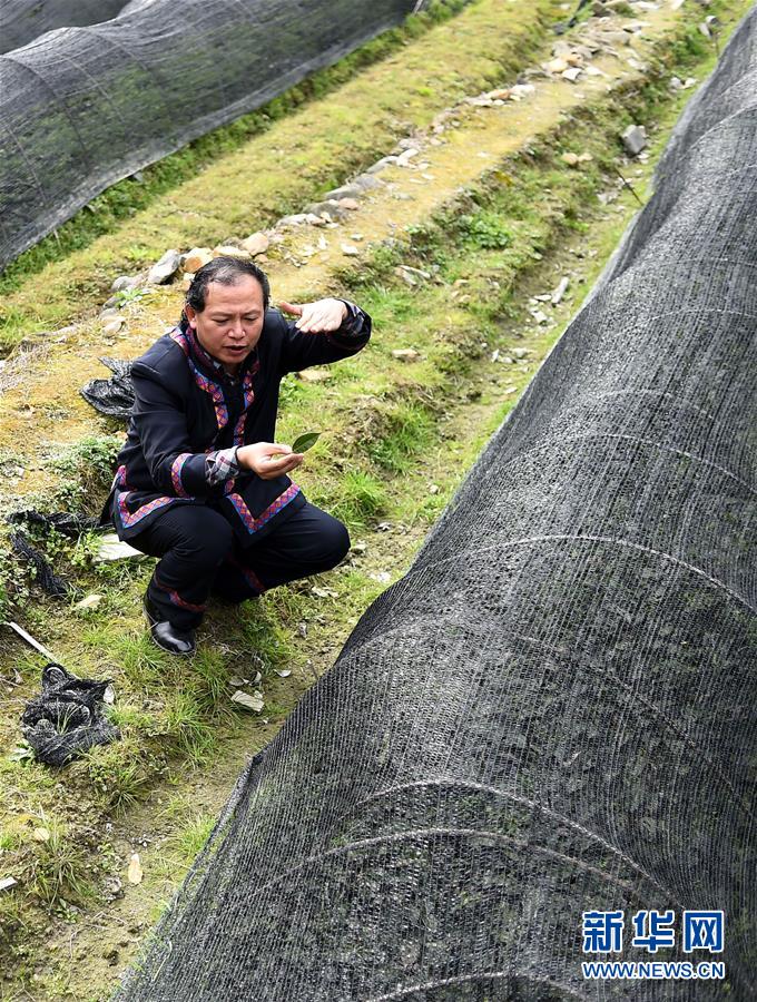 （兩會·基層代表履職故事）（7）全國人大代表龍獻(xiàn)文：幸福都是奮斗出來的!