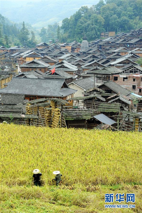 （新華全媒頭條·圖文互動(dòng)）（16）山鄉(xiāng)巨變——來自貴州扶貧一線的報(bào)告