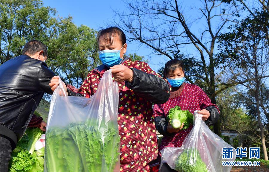 （圖文互動）（6）廣西桂林：“借力+接力”新鮮蔬菜進(jìn)社區(qū)