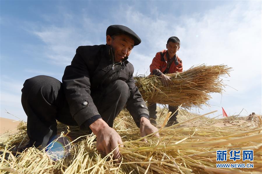 （在習(xí)近平新時(shí)代中國(guó)特色社會(huì)主義思想指引下——新時(shí)代新作為新篇章·習(xí)近平總書(shū)記關(guān)切事·圖文互動(dòng)）（5）綠色映底蘊(yùn)，山水見(jiàn)初心——生態(tài)優(yōu)先、綠色發(fā)展持續(xù)造福群眾美好生活