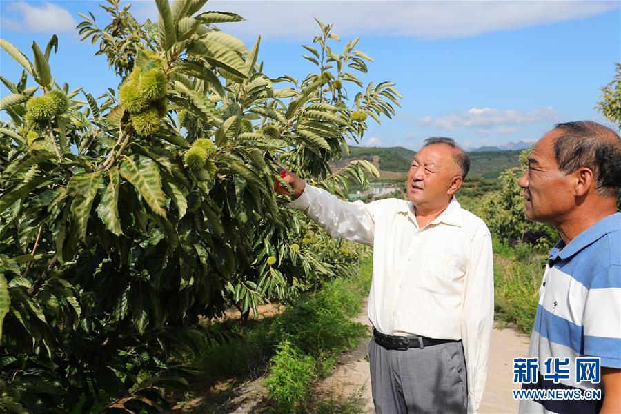 （新華全媒頭條·走向我們的小康生活·圖文互動(dòng)）（11）長(zhǎng)城腳下，小康村串成“珍珠鏈”