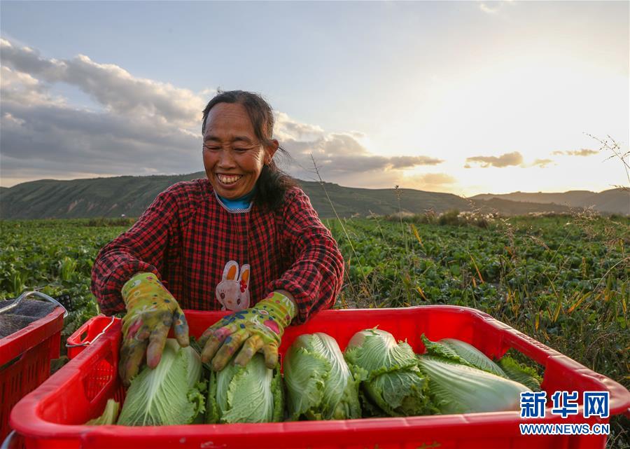 （新華全媒頭條·決戰(zhàn)決勝脫貧攻堅·督戰(zhàn)未摘帽貧困縣·圖文互動）（1）不獲全勝，決不收兵——全國52個掛牌督戰(zhàn)貧困縣脫貧攻堅紀(jì)實