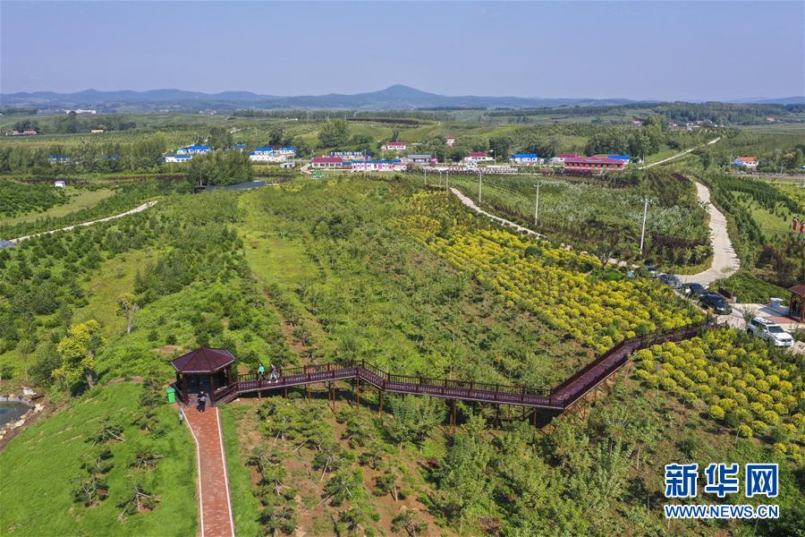 （新華全媒頭條·走向我們的小康生活·圖文互動）（16）黑土地上是我家——在吉林，一瞥中國東北鄉(xiāng)村美麗未來