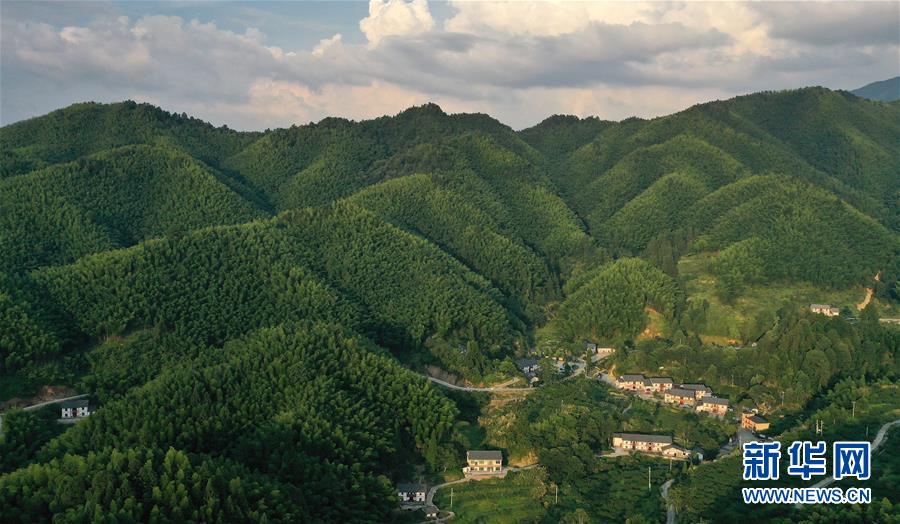 （新華全媒頭條·走向我們的小康生活·圖文互動(dòng)）（2）神山村“神奇”何在？——井岡山深處覓答案