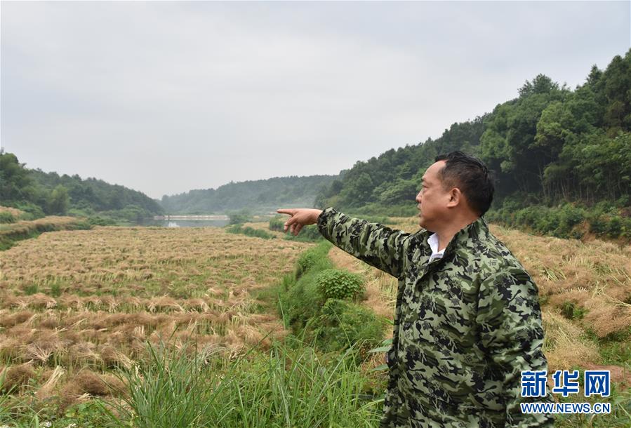 （代表委員履職·圖文互動(dòng)）（2）“我是農(nóng)民代表，始終關(guān)注農(nóng)村”——全國(guó)人大代表沈昌健的履職故事