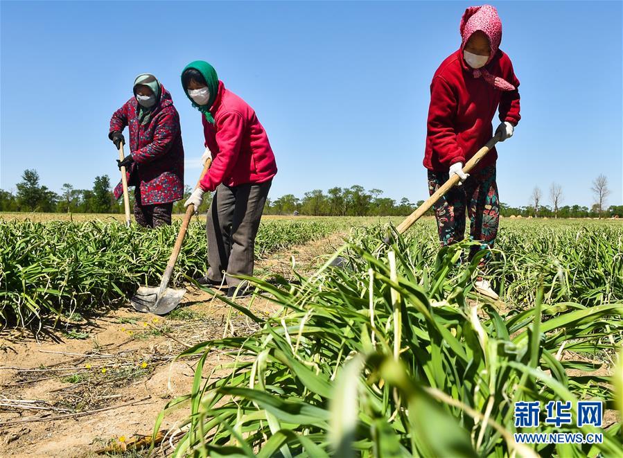 （新華全媒頭條·圖文互動(dòng)）（17）從人民中汲取磅礴力量——習(xí)近平總書(shū)記同出席2020年全國(guó)兩會(huì)人大代表、政協(xié)委員共商國(guó)是紀(jì)實(shí)