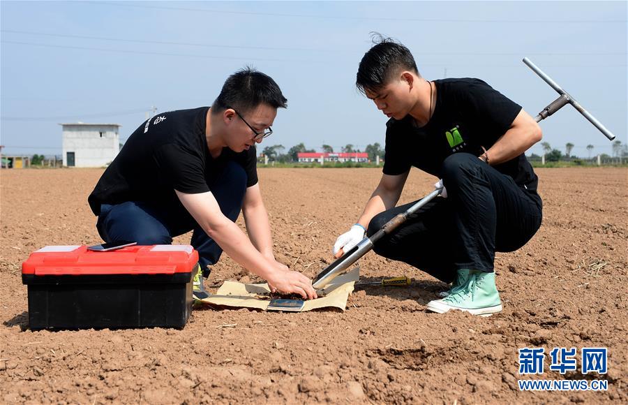 （在習(xí)近平新時(shí)代中國特色社會(huì)主義思想指引下——新時(shí)代新作為新篇章·總書記關(guān)心的百姓身邊事·圖文互動(dòng)）（6）“農(nóng)”字頭照樣“大”作為——豐收時(shí)節(jié)看涉農(nóng)高校人才在希望的田野