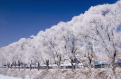 全國初雪時間表出爐 看看你離初雪還有多遠(yuǎn)？