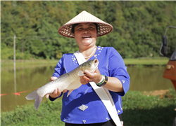 鄉(xiāng)村旅游