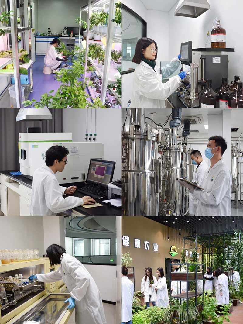 “全國(guó)科技工作者日”：推動(dòng)農(nóng)業(yè)綠色高質(zhì)量發(fā)展，新朝陽(yáng)科研人在路上