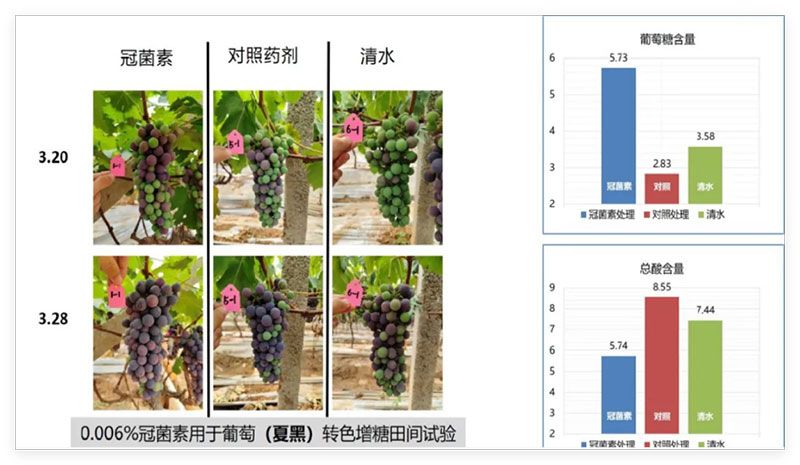 成都新朝陽COR冠菌素入選“2025中國農業重大新產品”