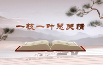 《平“語”近人——習近平總書記用典》（第一集）一枝一葉總關情